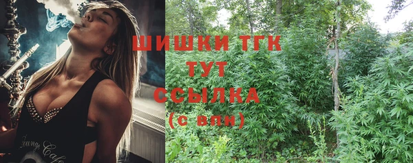 mix Новодвинск