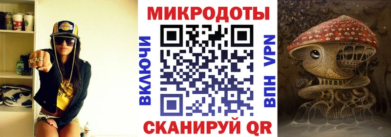 Галлюциногенные грибы Psilocybine cubensis  Усолье 
