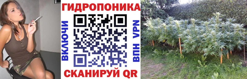 ОМГ ОМГ вход  Усолье  Бошки марихуана VHQ 